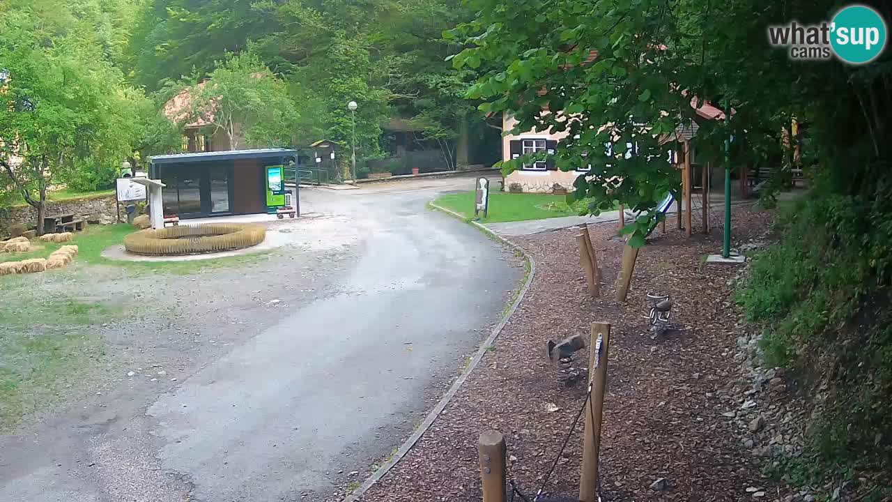 Skrad livecam Zeleni Vir