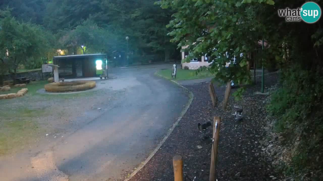 Skrad webcam Zeleni Vir