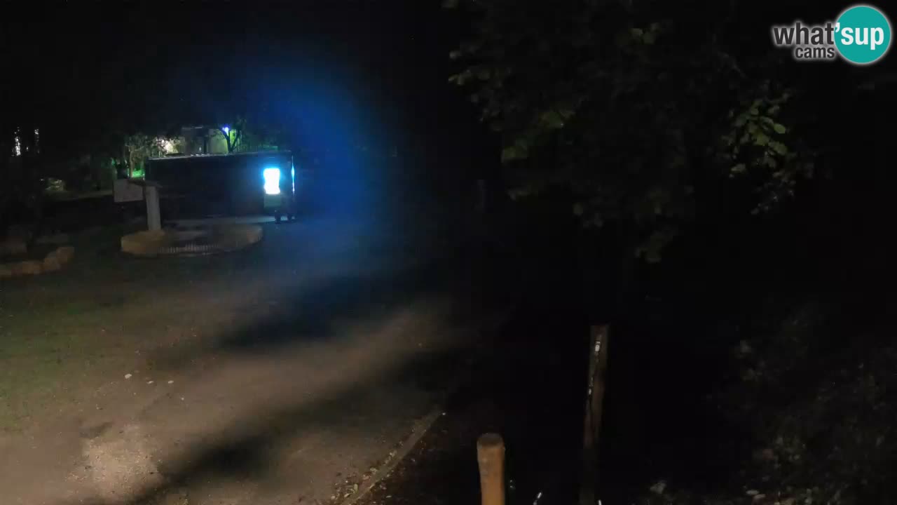 Skrad web kamera Zeleni Vir
