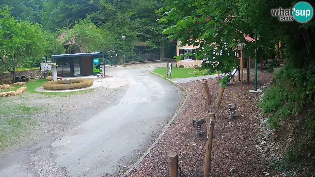 Skrad live cam Zeleni Vir