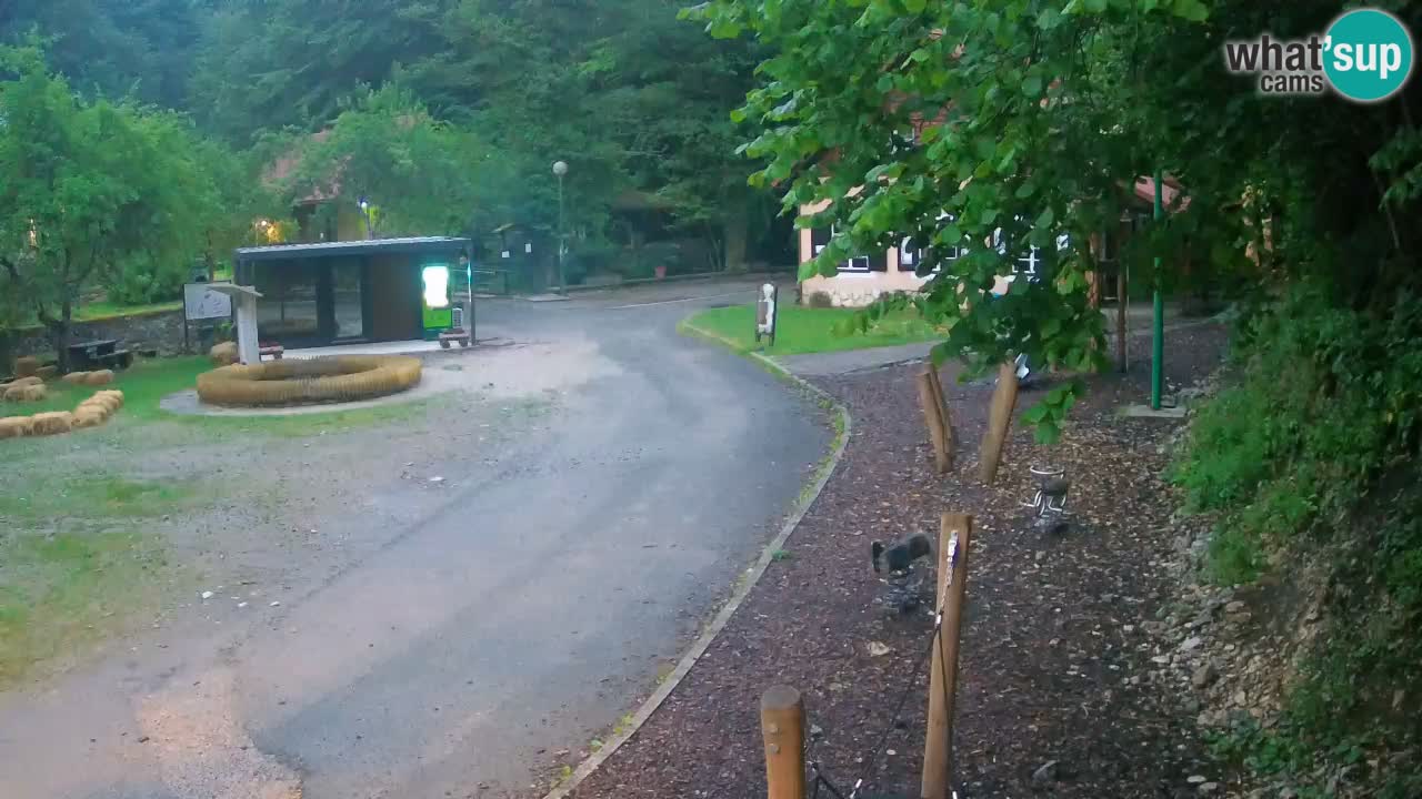 Skrad webcam Zeleni Vir