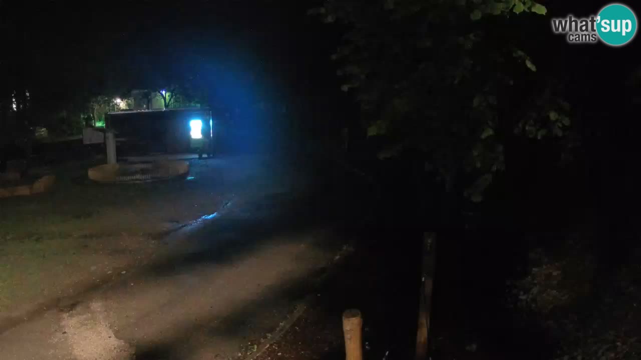 Skrad livecam Zeleni Vir