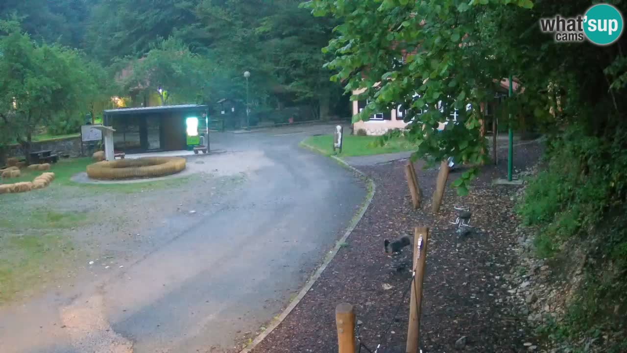 Skrad livecam Zeleni Vir