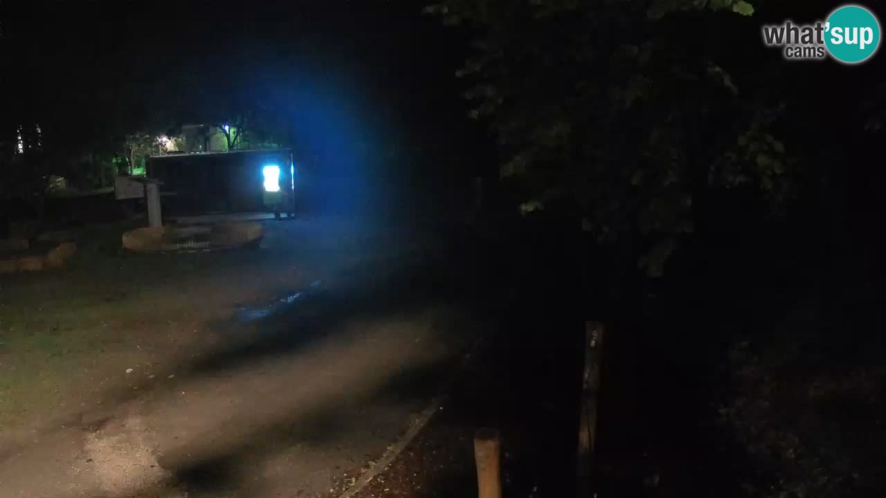 Skrad webcam Zeleni Vir