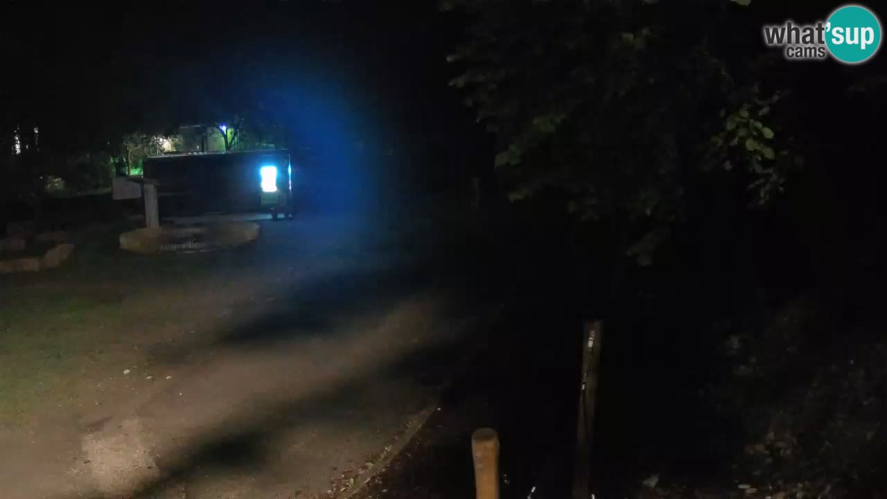 Skrad live cam Zeleni Vir