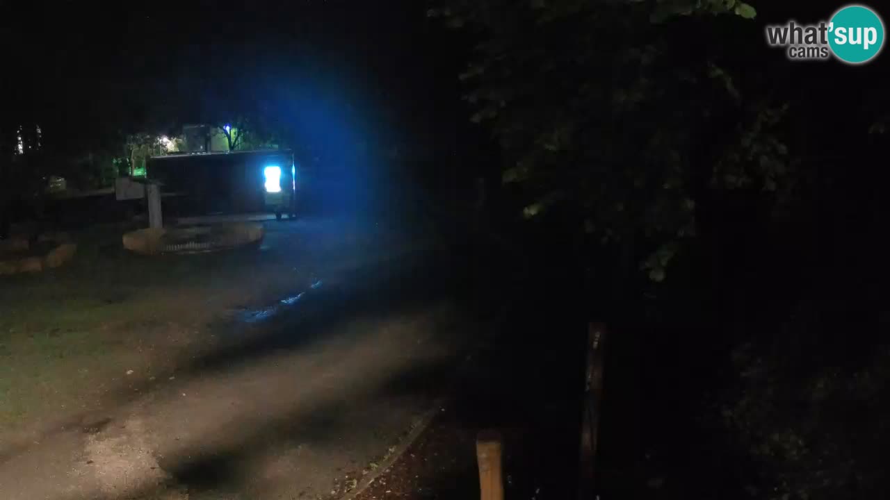 Skrad Livecam Zeleni Vir