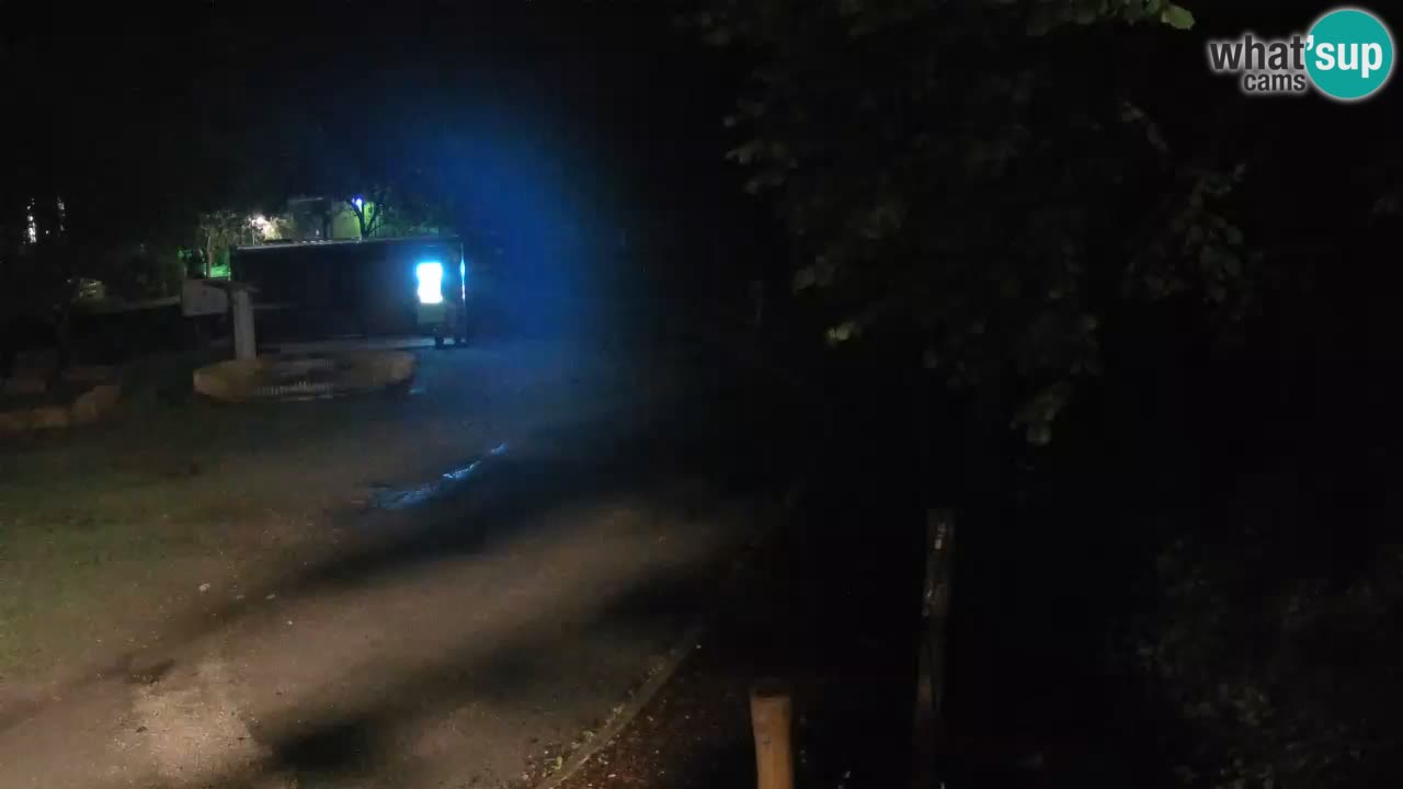 Skrad webcam Zeleni Vir