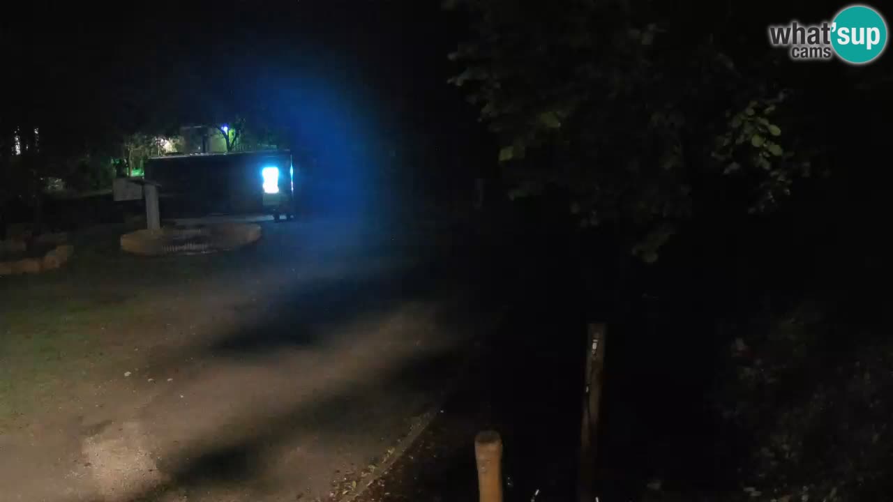 Skrad Livecam Zeleni Vir