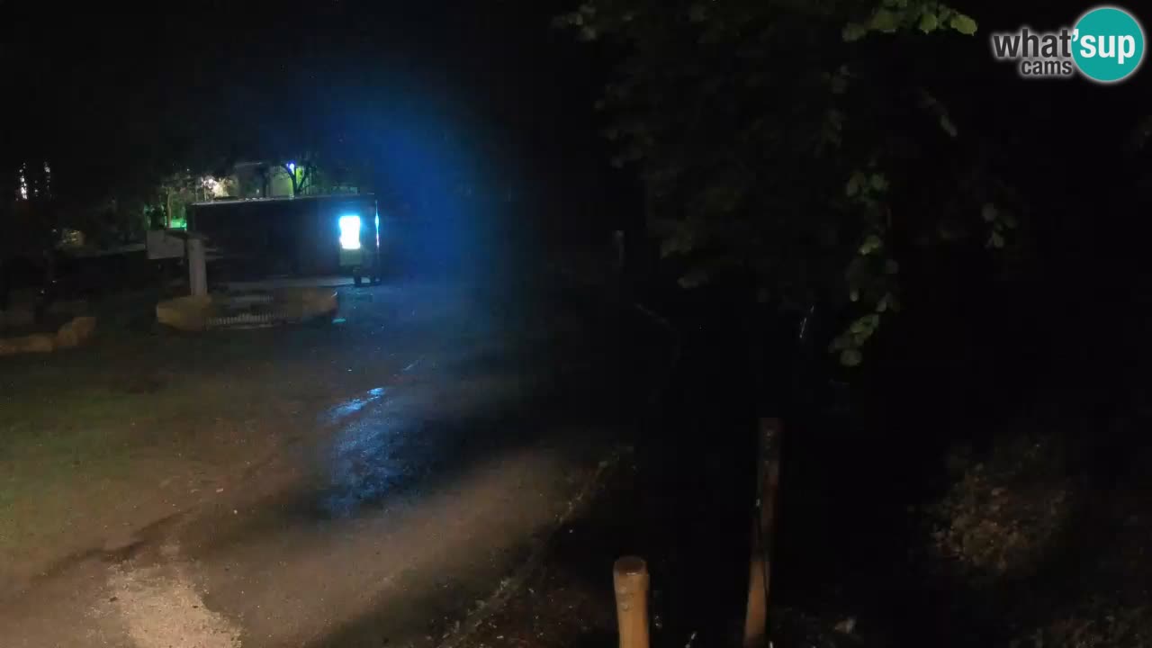 Skrad live cam Zeleni Vir