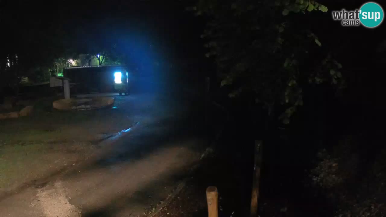 Skrad livecam Zeleni Vir