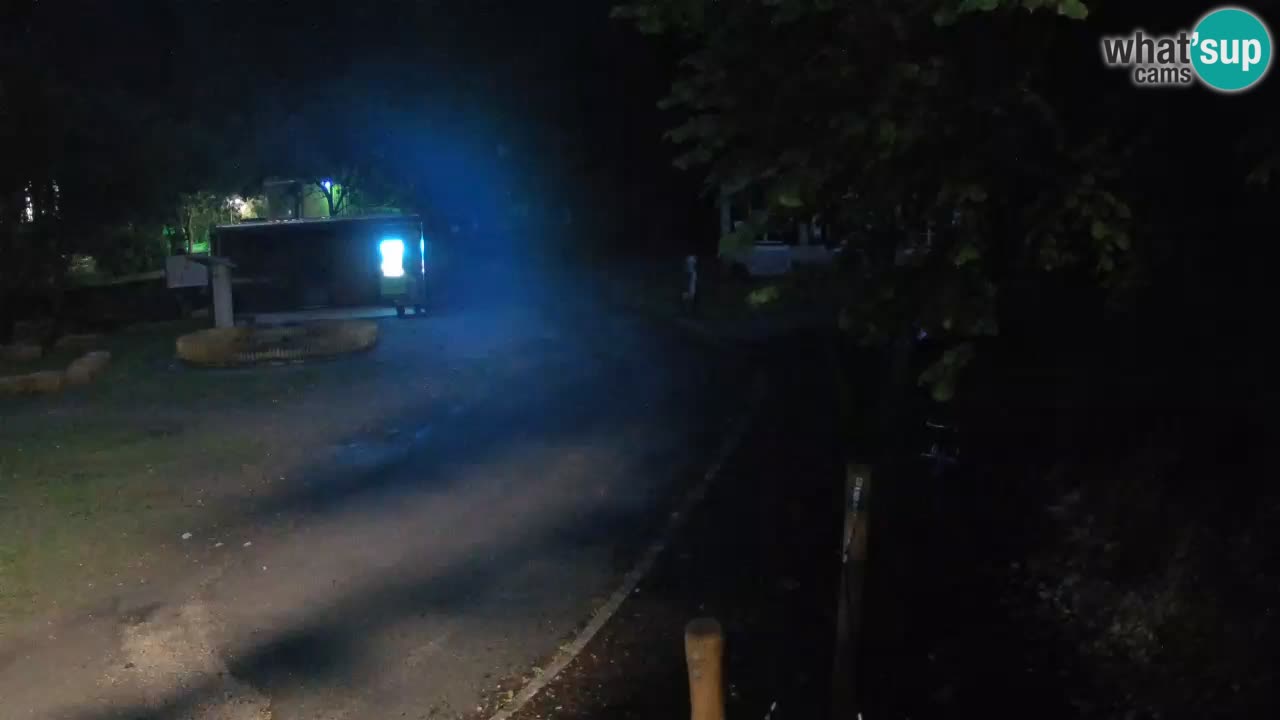 Skrad livecam Zeleni Vir