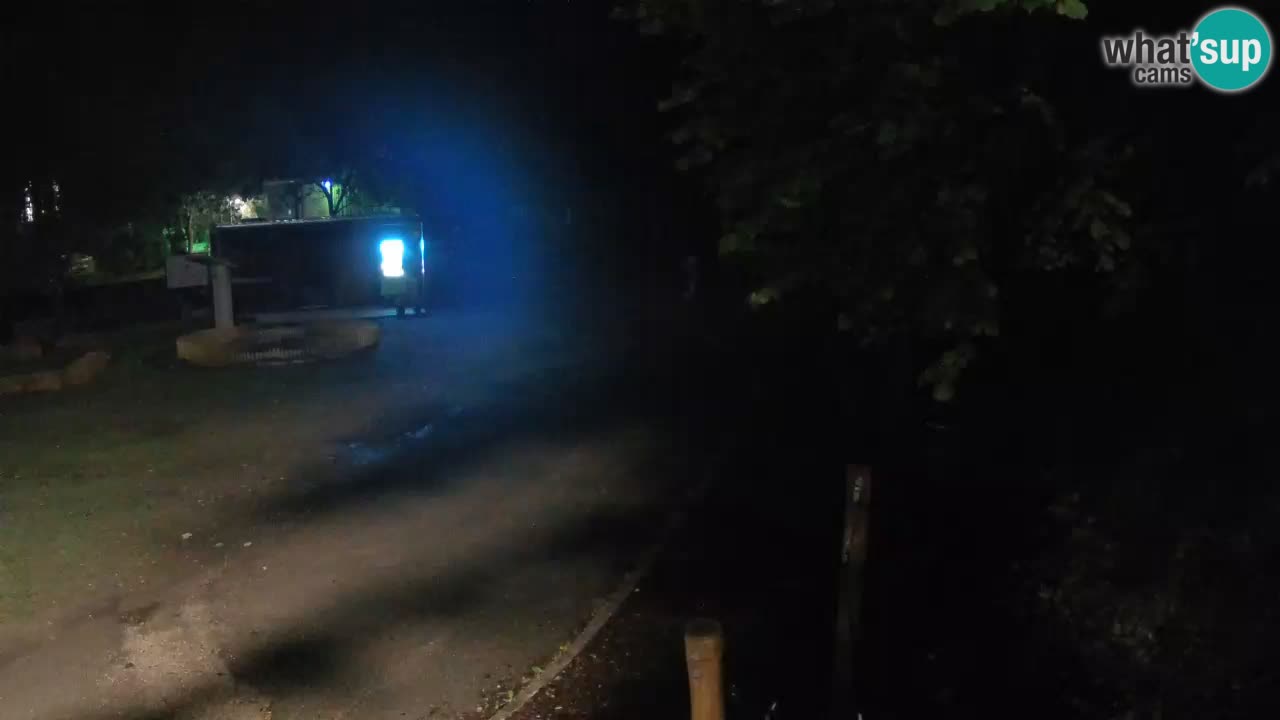 Skrad Livecam Zeleni Vir