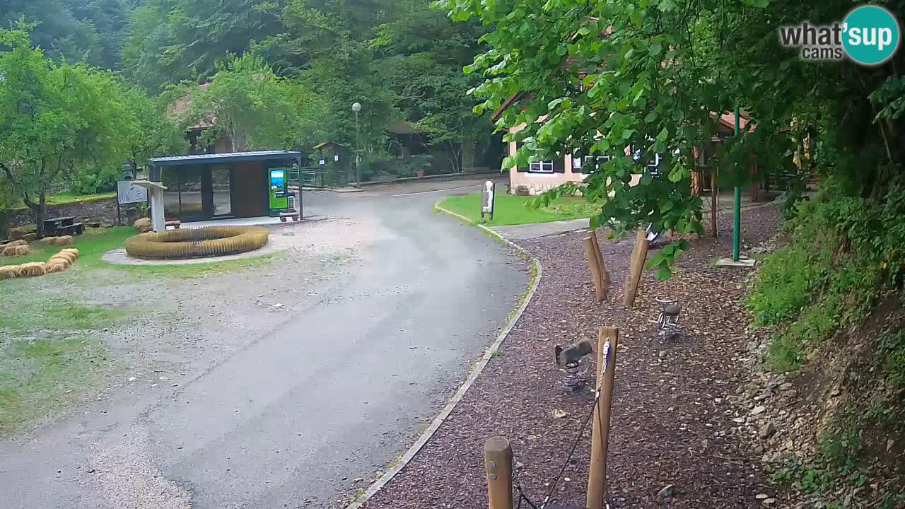 Skrad webcam Zeleni Vir
