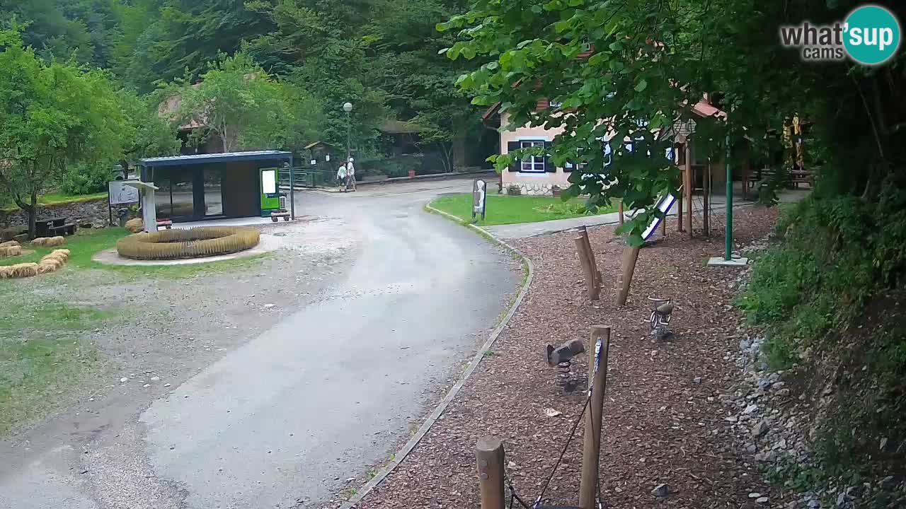Skrad webcam Zeleni Vir
