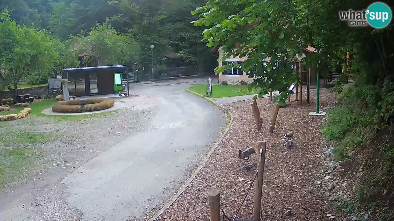 Skrad webcam Zeleni Vir