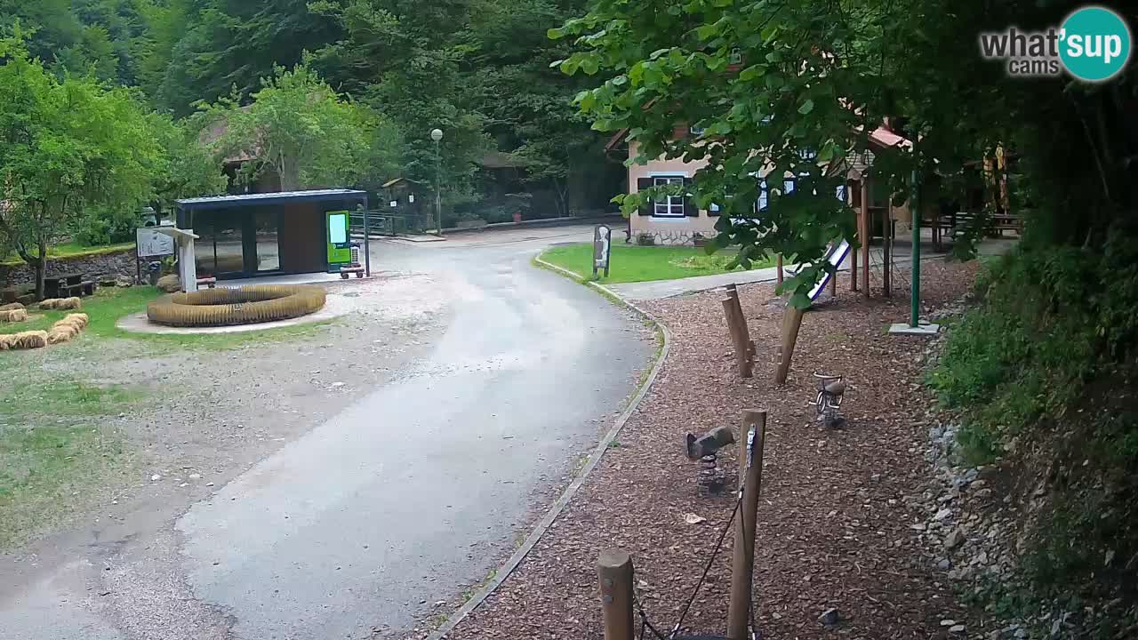 Skrad webcam Zeleni Vir