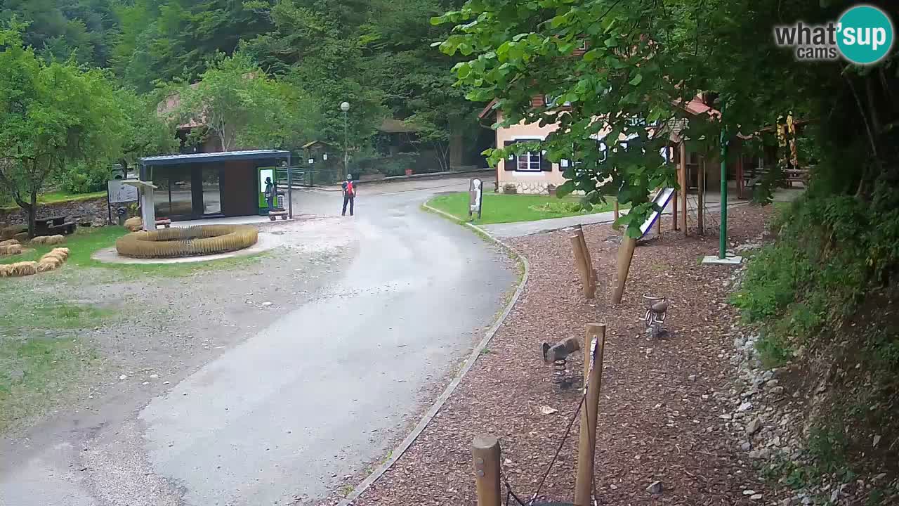 Skrad webcam Zeleni Vir