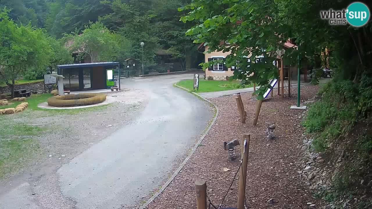 Skrad webcam Zeleni Vir