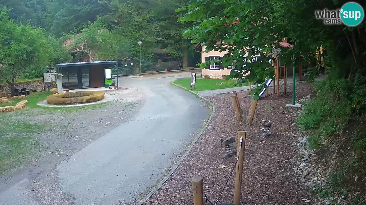 Skrad live cam Zeleni Vir