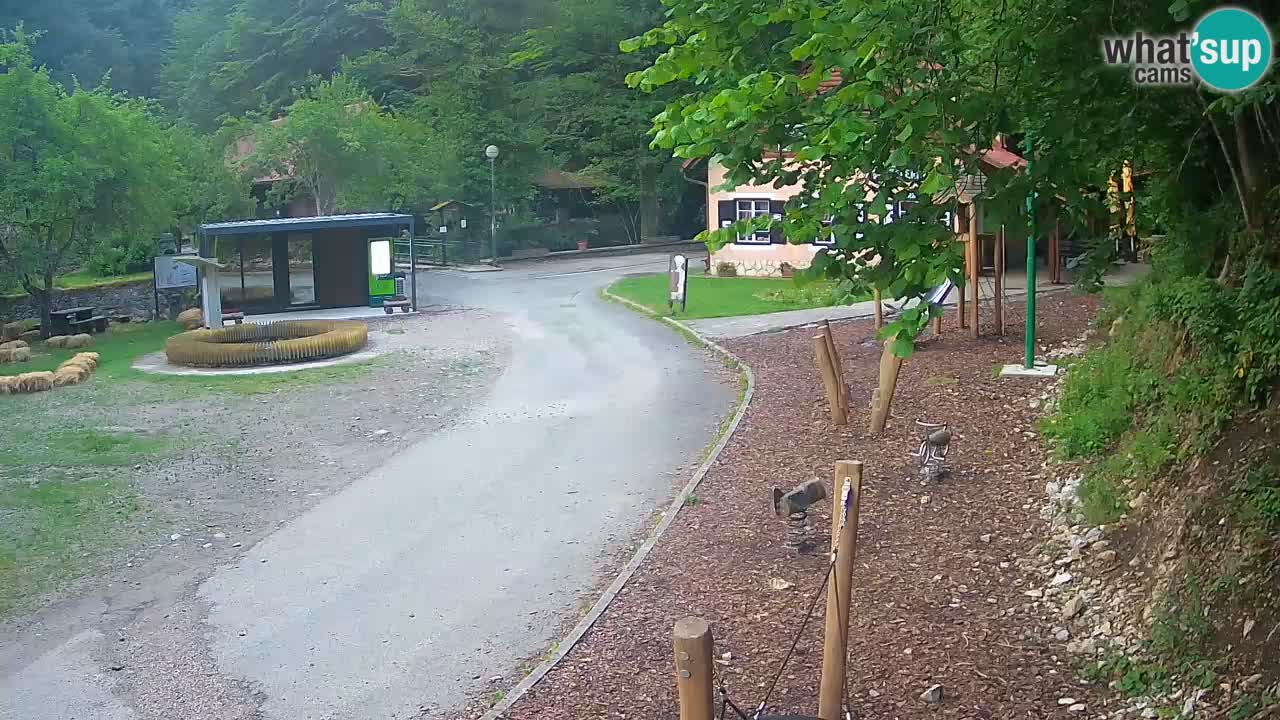 Skrad Livecam Zeleni Vir