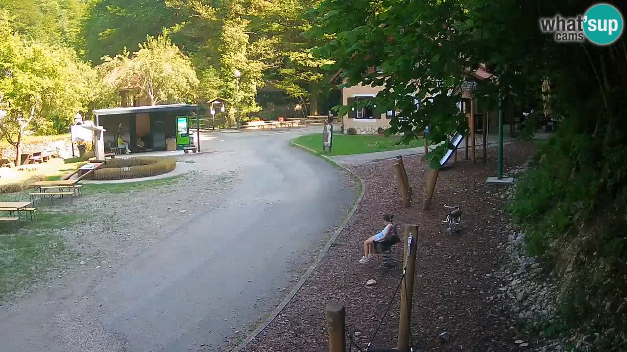 Skrad webcam Zeleni Vir
