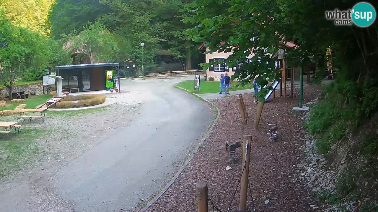 Skrad Livecam Zeleni Vir