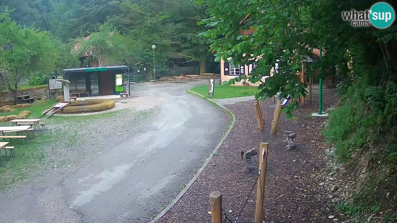 Skrad live cam Zeleni Vir