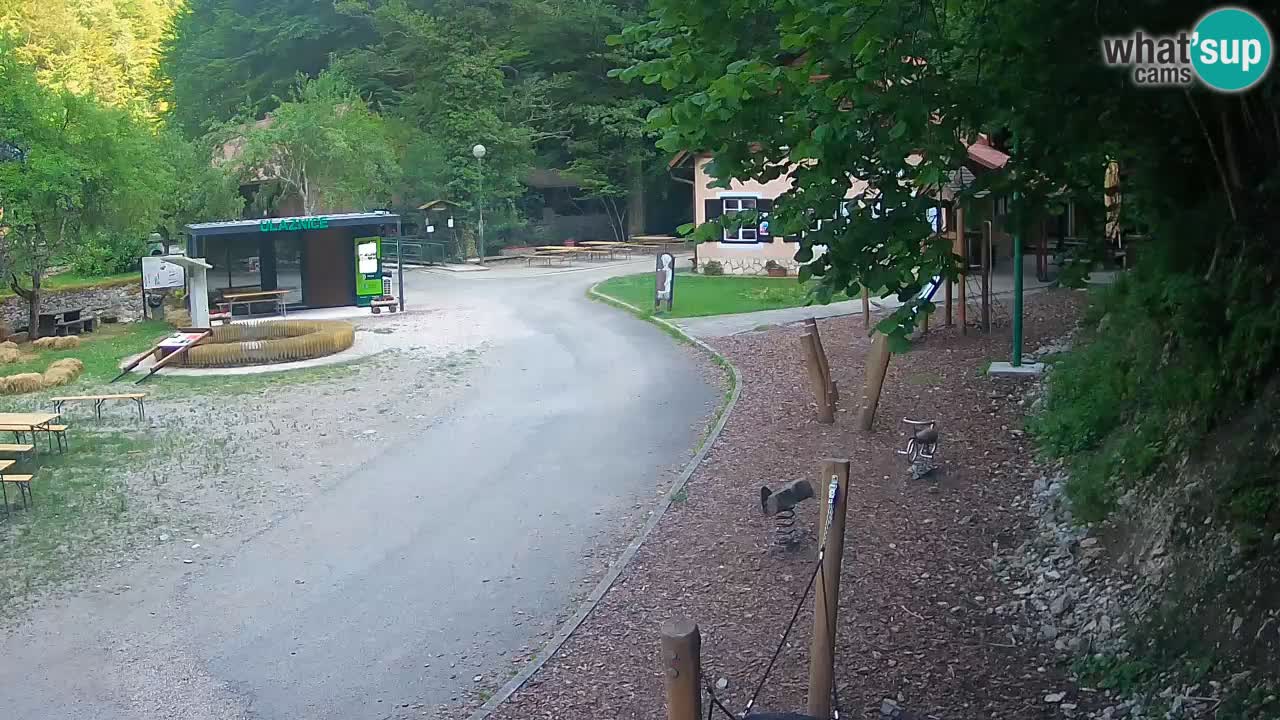 Skrad webcam Zeleni Vir