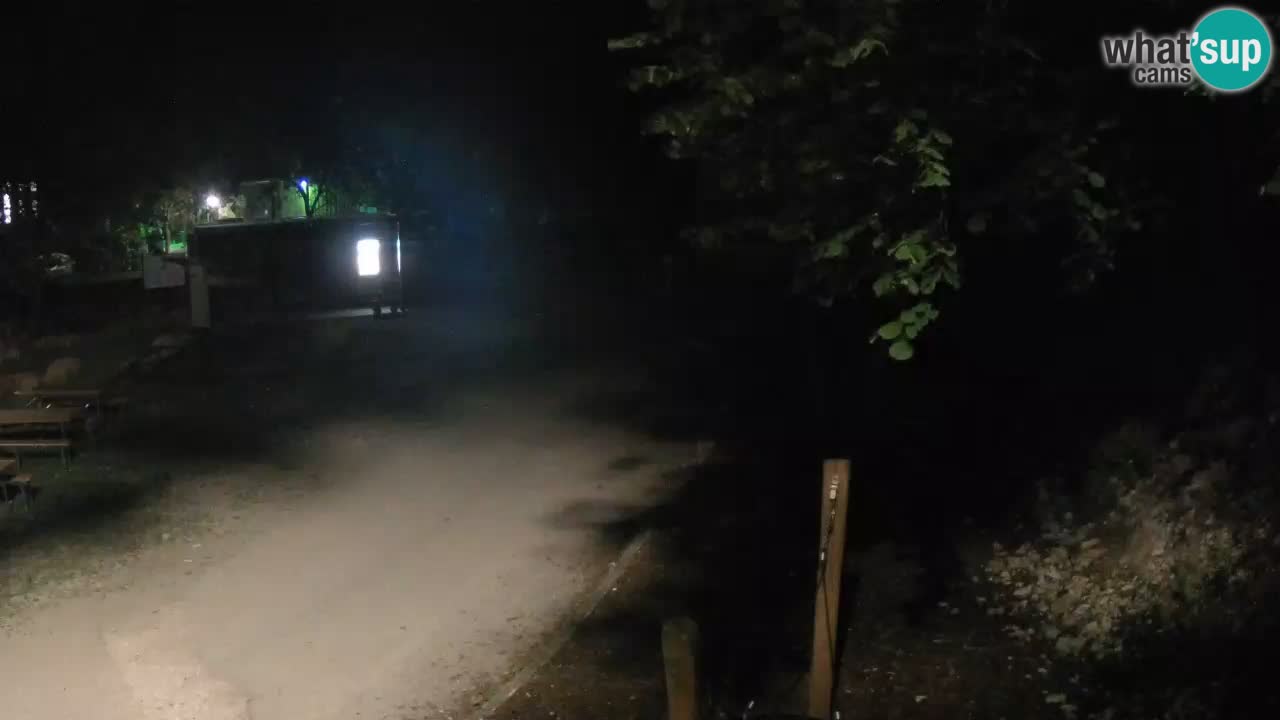 Skrad webcam Zeleni Vir