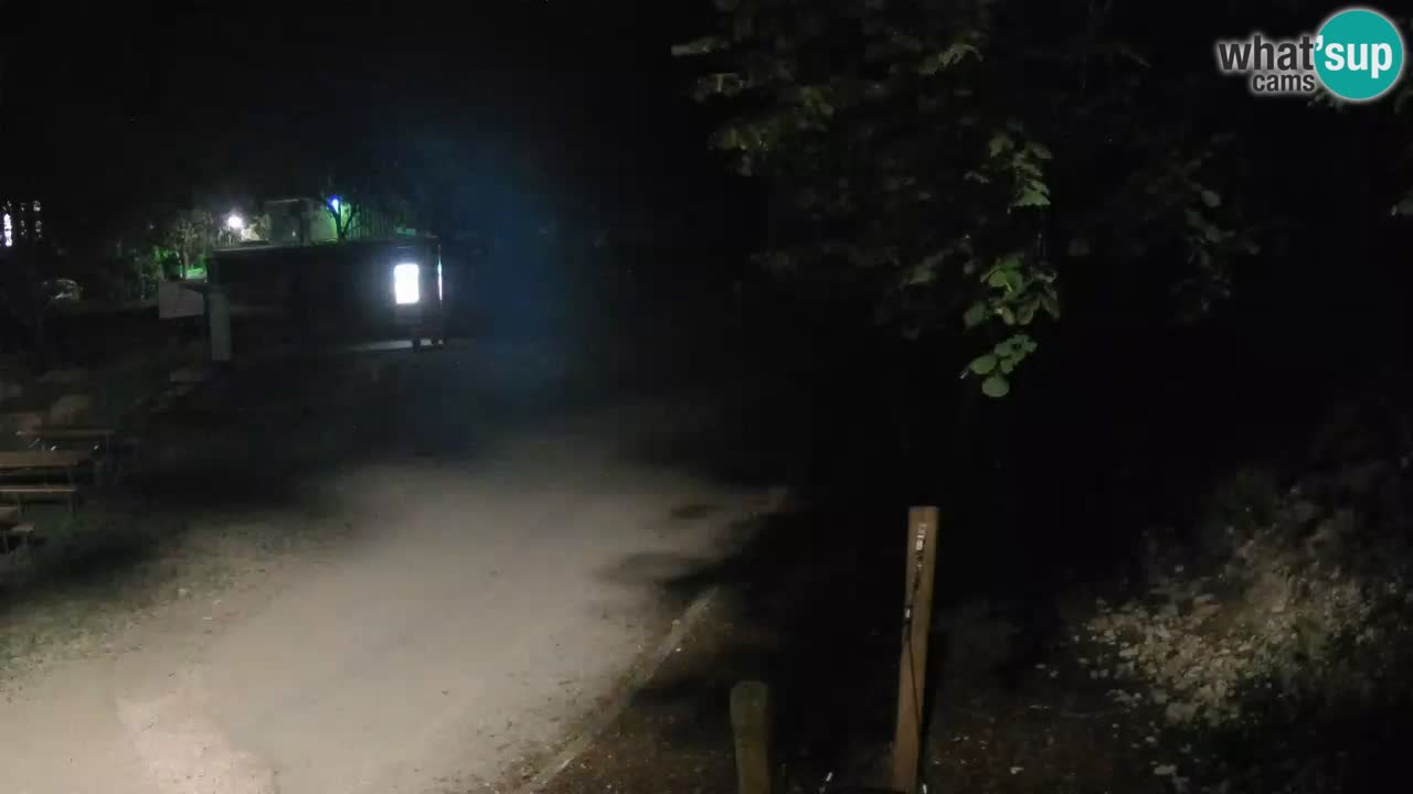 Skrad spletna kamera Zeleni Vir