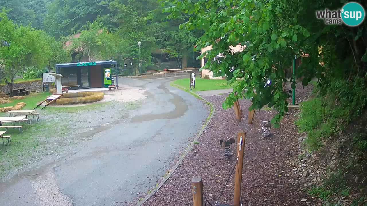 Skrad livecam Zeleni Vir