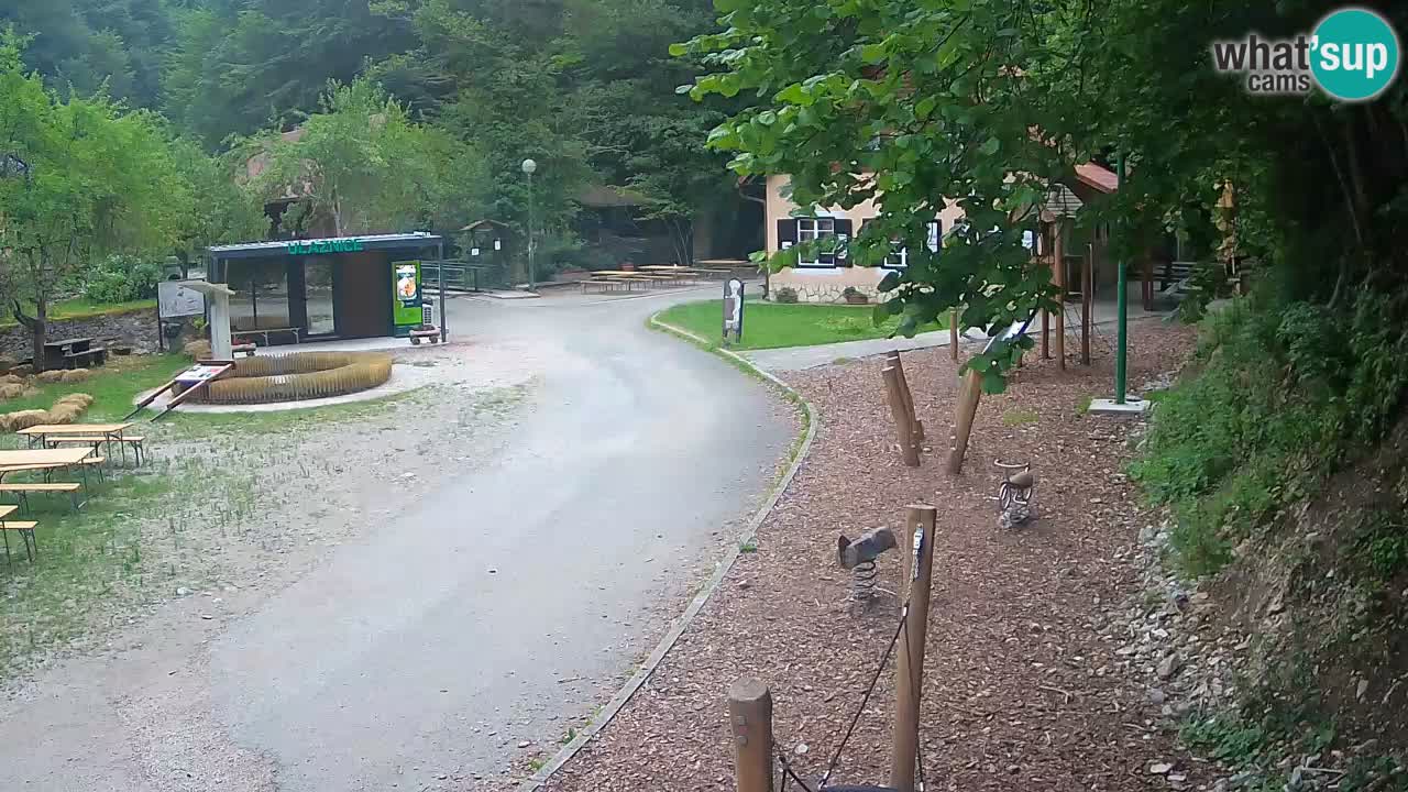 Skrad Livecam Zeleni Vir