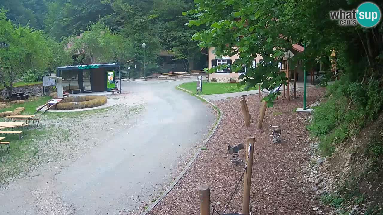 Skrad webcam Zeleni Vir