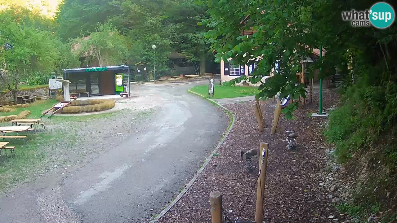 Skrad livecam Zeleni Vir