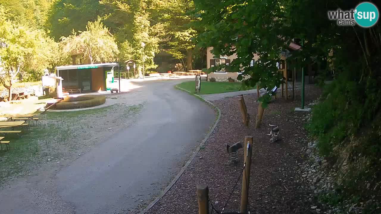 Skrad livecam Zeleni Vir