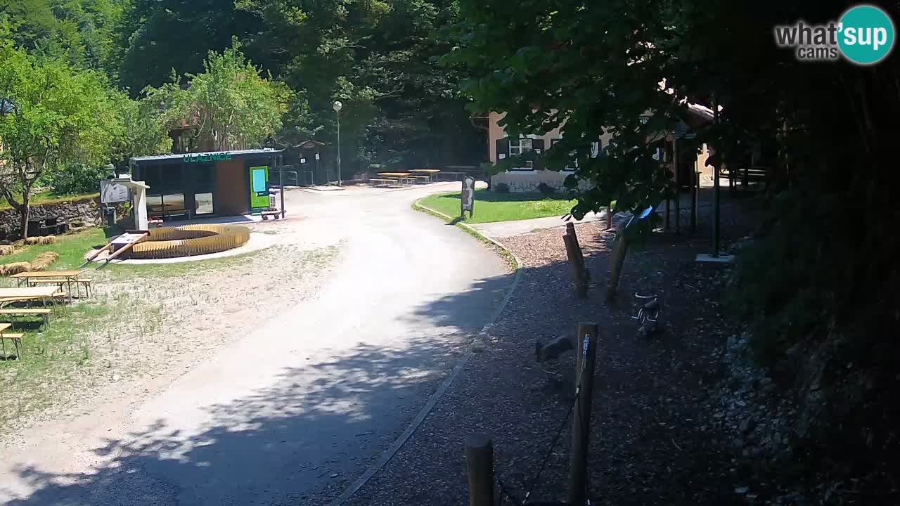 Skrad Livecam Zeleni Vir