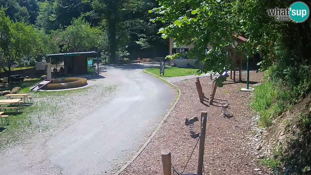 Skrad livecam Zeleni Vir
