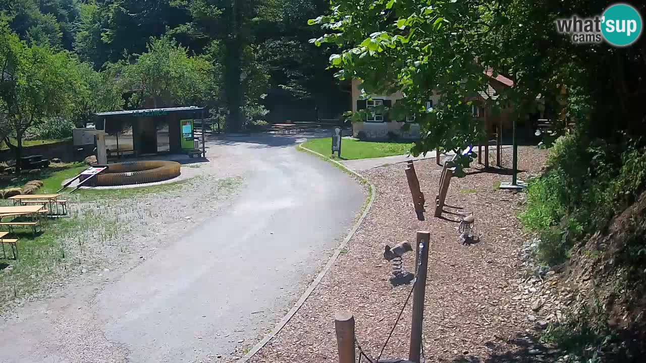 Skrad livecam Zeleni Vir