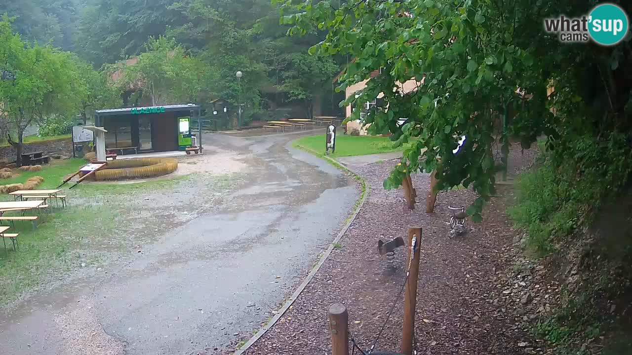Skrad webcam Zeleni Vir