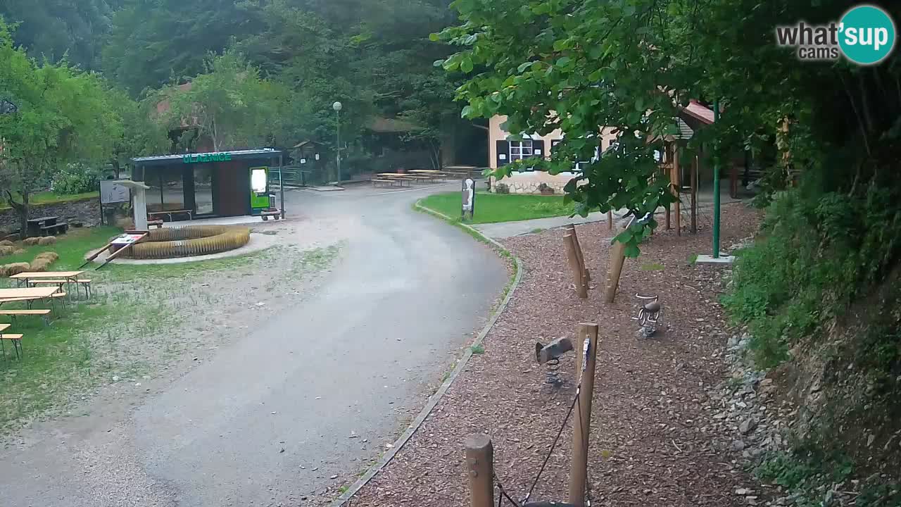 Skrad webcam Zeleni Vir
