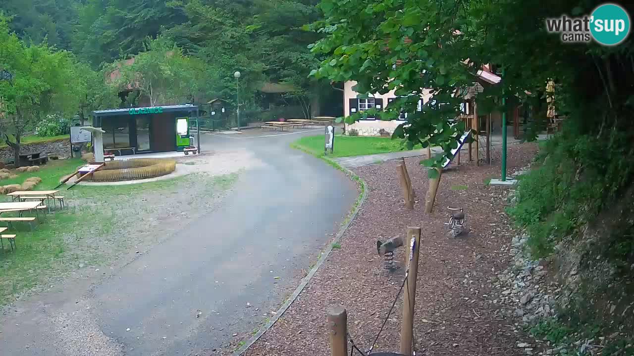 Skrad webcam Zeleni Vir