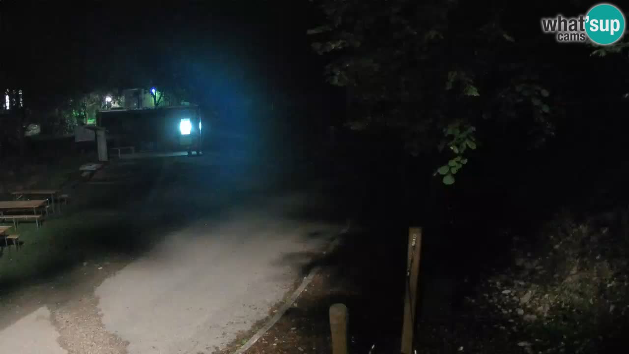 Skrad webcam Zeleni Vir