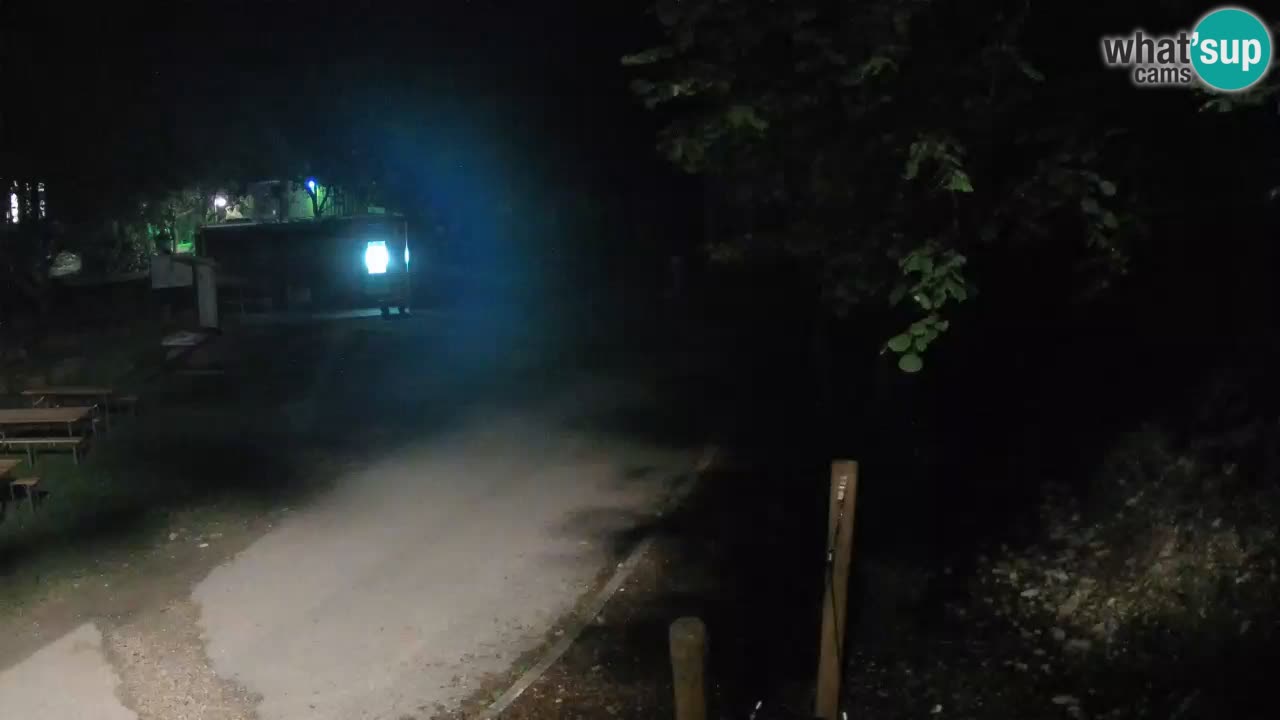 Skrad webcam Zeleni Vir