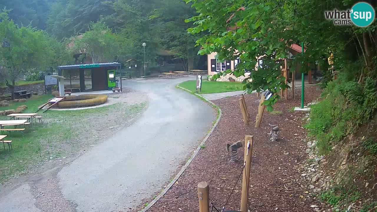 Skrad Livecam Zeleni Vir