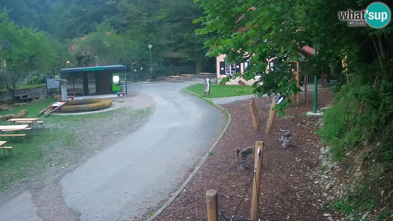 Skrad live cam Zeleni Vir