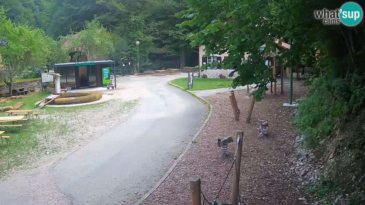 Skrad webcam Zeleni Vir