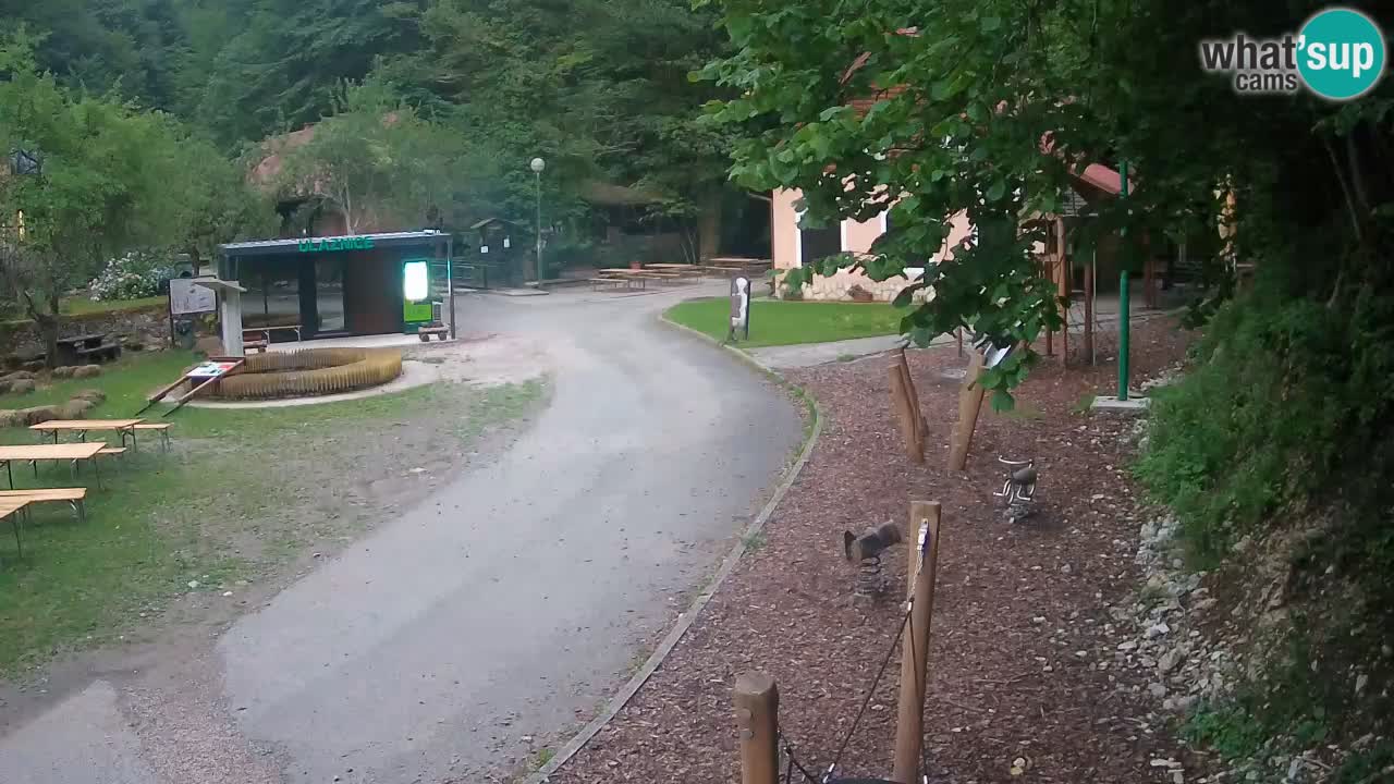 Skrad webcam Zeleni Vir