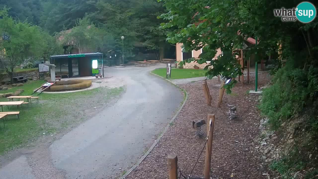 Skrad webcam Zeleni Vir