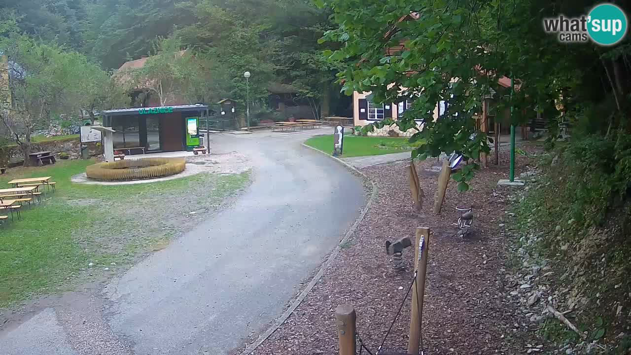 Skrad live cam Zeleni Vir