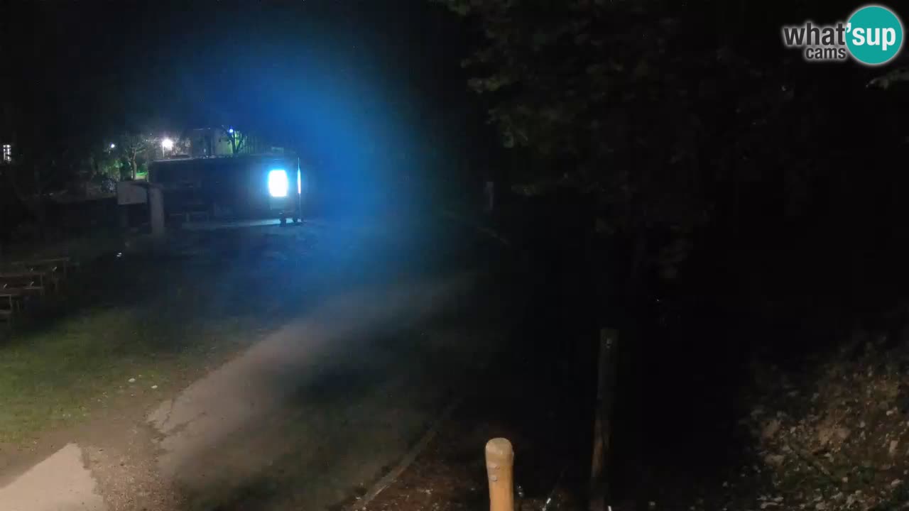 Skrad webcam Zeleni Vir